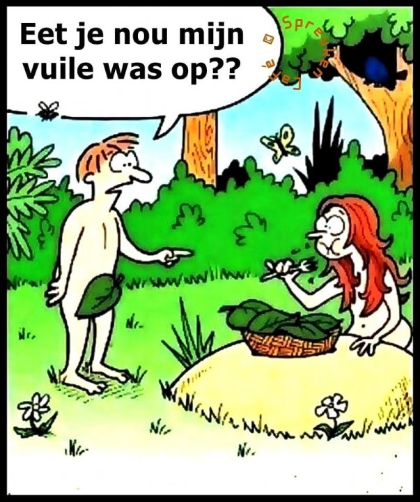 Vuile Was.jpg