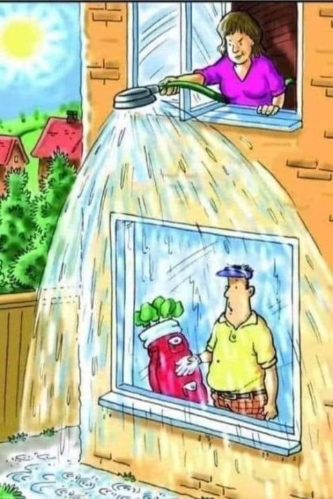 Weeral regen.jpg