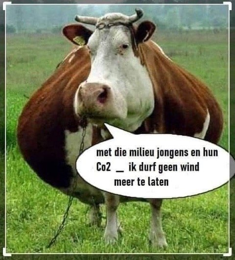 image.jpeg.360d7308a339ce930bb42ec5c48ef0fb.jpeg