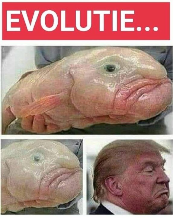 image.thumb.jpeg.ddb96b62db9ef3291a7a34a7c7e9e284.jpeg