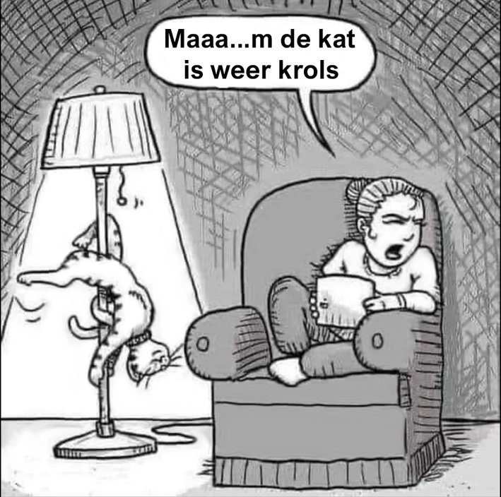 krolsekat.jpg.b329c079e1a592276b8100090443746b.jpg