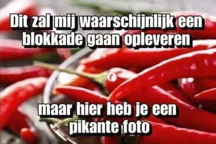 pikant.jpg.8115841b1212baf66a448a334ef16a80.jpg