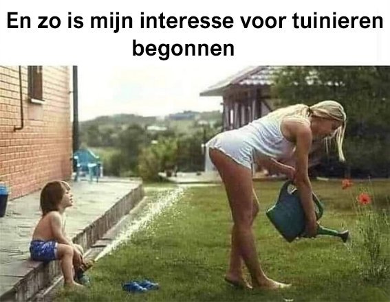 tuinieren.jpg.1cb12579e3843f4d8d7e134ed35857a5.jpg