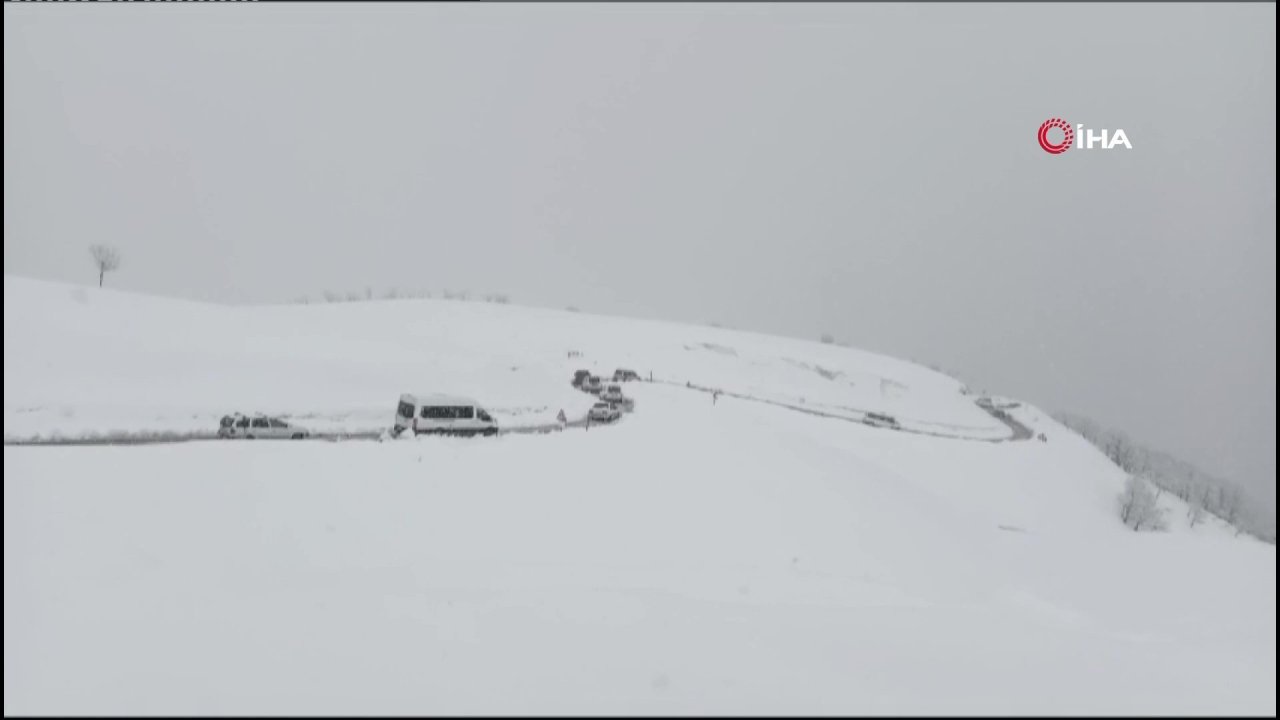 vlcsnap-2024-03-18-21h27m19s611.jpg