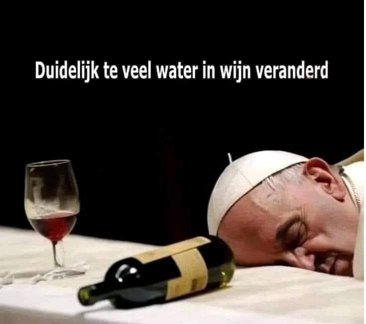 wijn_gsModify.jpg.8bb93b32bce8cc9e28d6eb73a3e6f62f.jpg