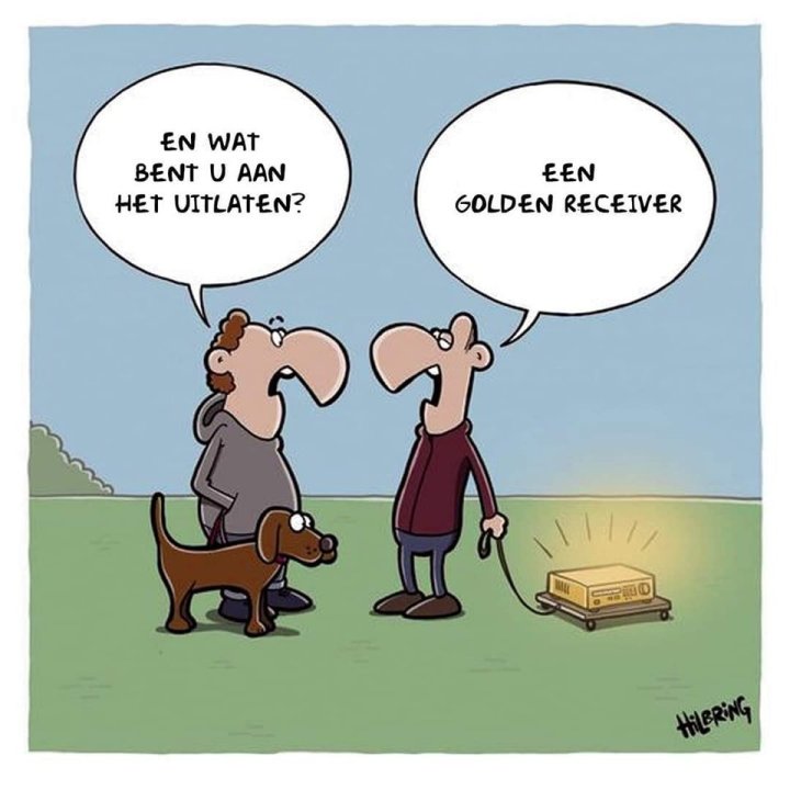 Golden Receiver.jpg
