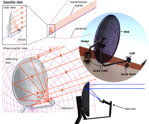 image.png.507f1a90a7565faf3b6af2040c37e25a.png