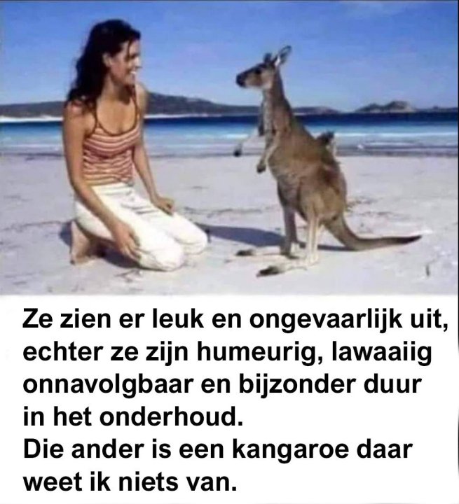 kangaroe.thumb.jpg.0eacdd19eaddaaa9b07ef8d786df5601.jpg