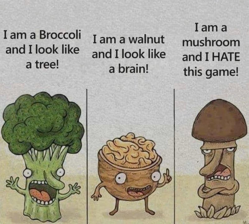mushroom.thumb.jpg.eae6ccbbc128fe9e5b09407c75aee869.jpg