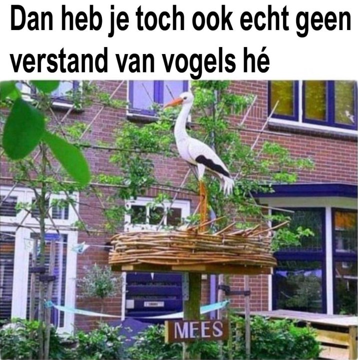 verstandvanvogels.thumb.jpg.2ed49a8382f7cee45426d96fd8a35590.jpg