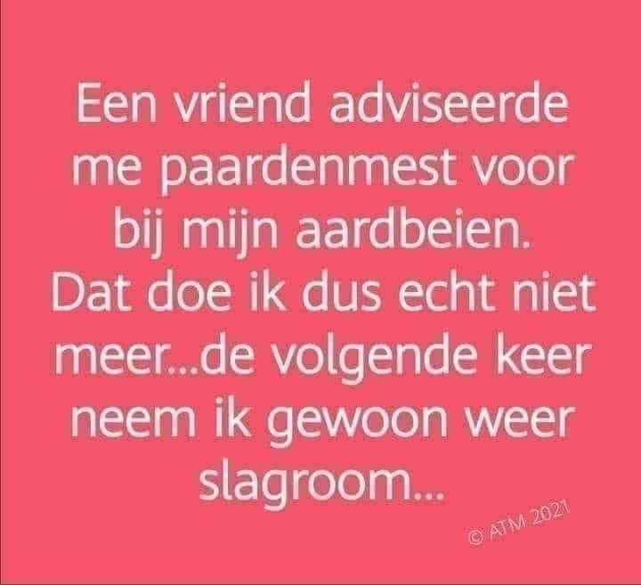 aardbeien.jpg.bde0aa77e16c6e06fe288cb493f53a6b.jpg