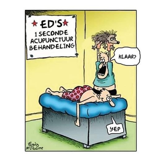 acupunctuur.jpg.bdbaedc3c31e322251ee65190f1ca878.jpg