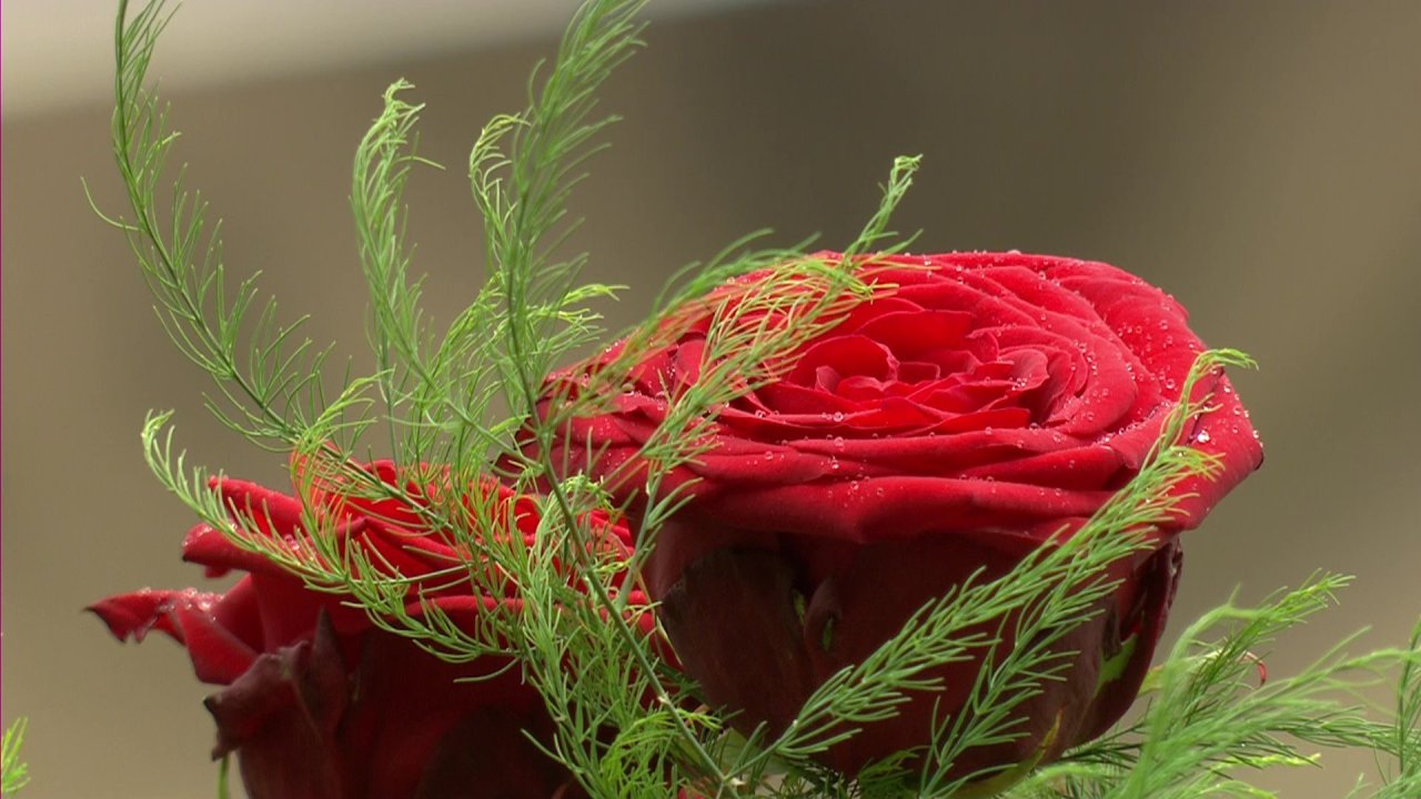 vlcsnap-2024-05-01-12h02m42s391.jpg