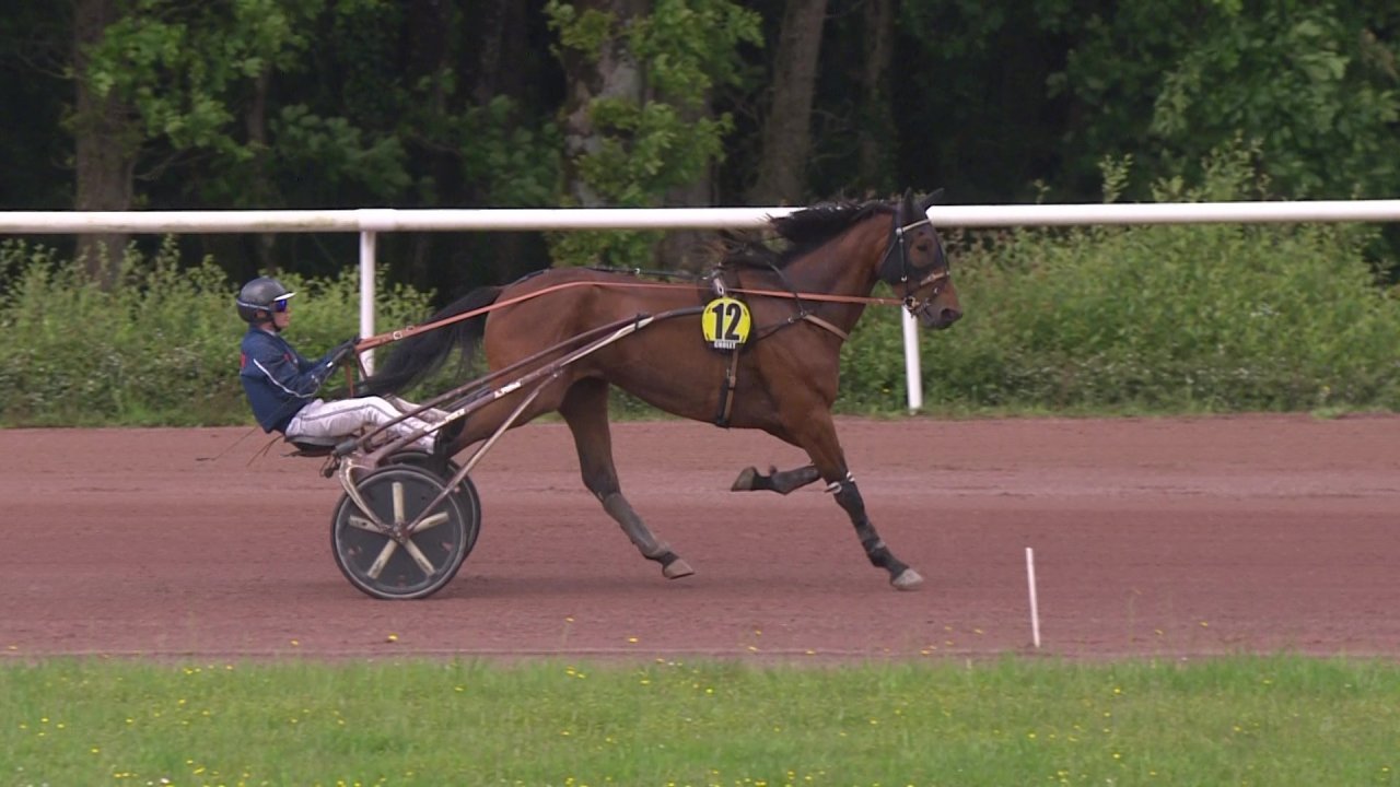 vlcsnap-2024-05-14-14h48m38s061.jpg