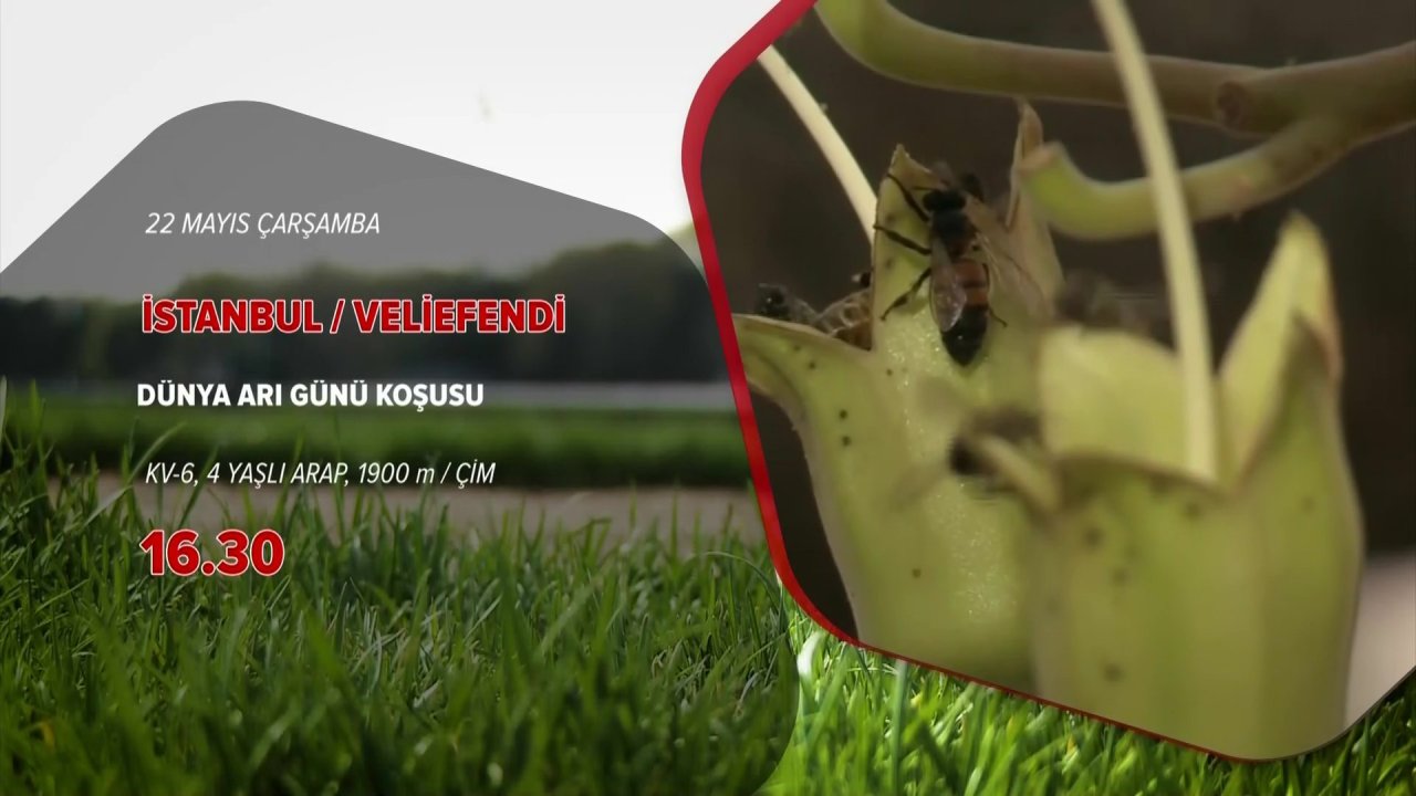 vlcsnap-2024-05-21-20h12m56s909.jpg