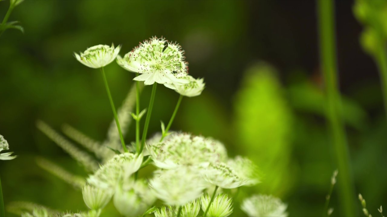 vlcsnap-2024-05-22-21h24m39s622.jpg