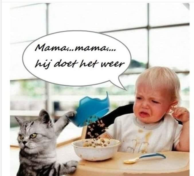mama.jpg.d569cc9f69fe794f50ba79453fade028.jpg