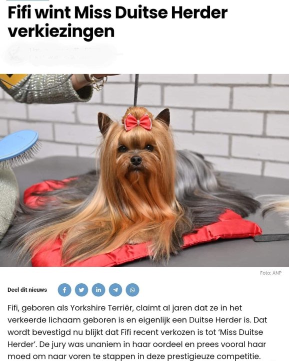 Fifi.thumb.jpg.67e317df88150e6616688e23eca125f1.jpg