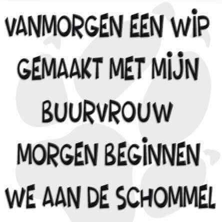 Schommel.jpg.f2ee750e502cd44a1c04923b82aced2c.jpg