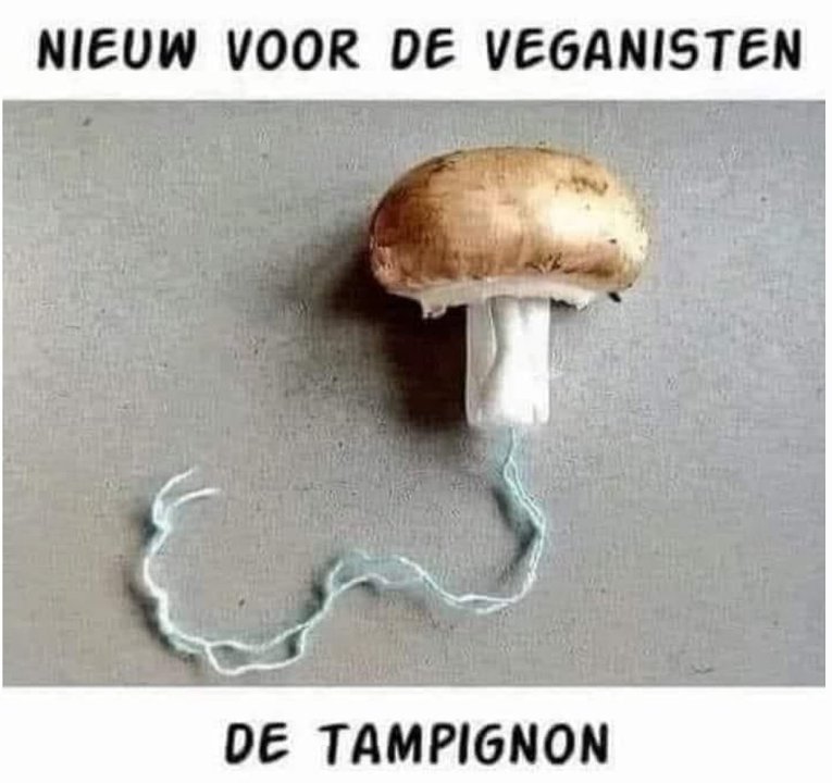 tampignon.thumb.jpg.c04f5d998d9a7a8281f4e280454ed1ff.jpg