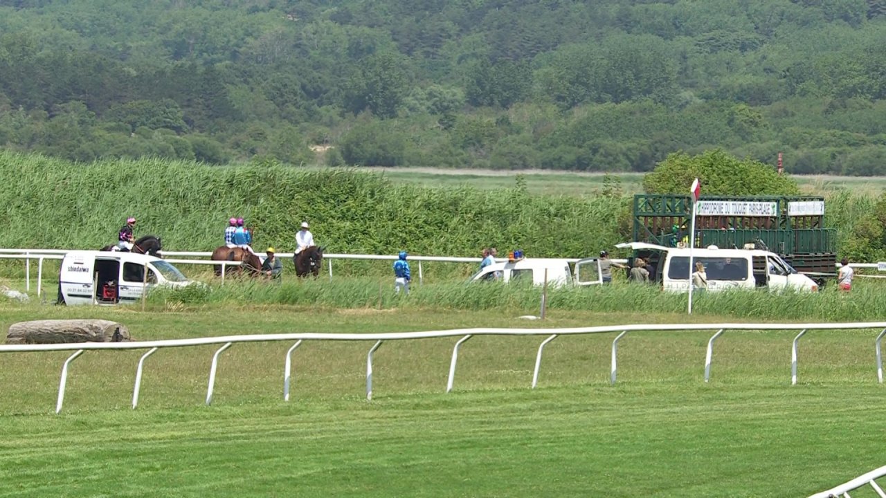 vlcsnap-2024-07-01-13h50m33s113.jpg