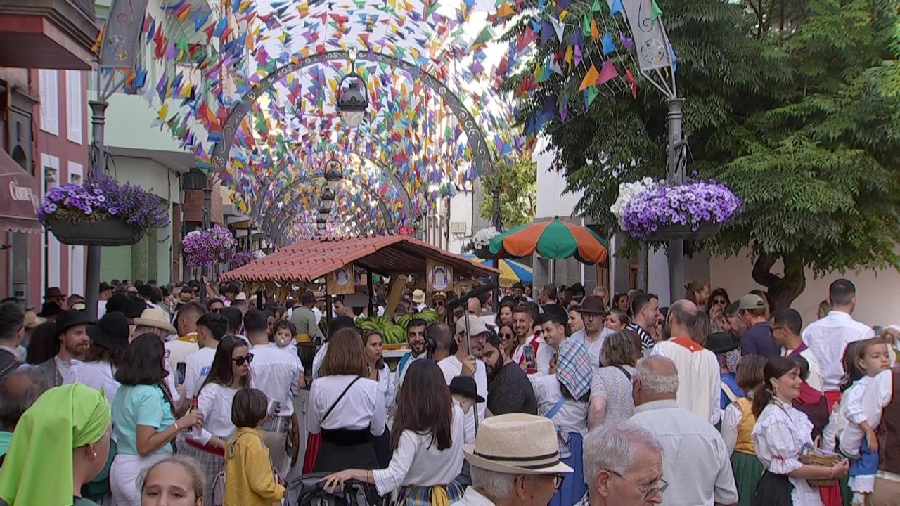 vlcsnap-2024-07-20-21h15m21s155.jpg