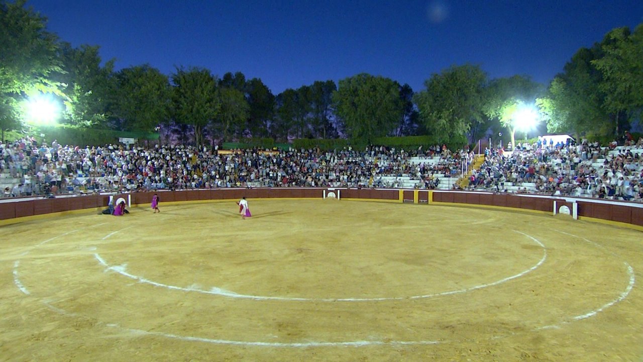 vlcsnap-2024-08-10-22h21m20s778.jpg