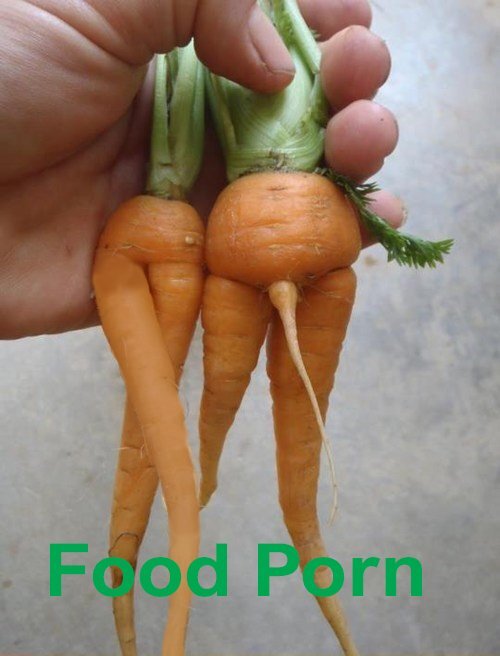 foodporn.jpg.6996d04ecc5e5e81d76099dfb6eaca11.jpg