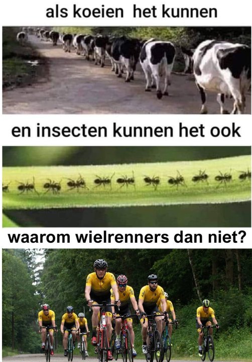 wielrenners.thumb.jpg.6c147f7944510be728d26f0b63c8e696.jpg