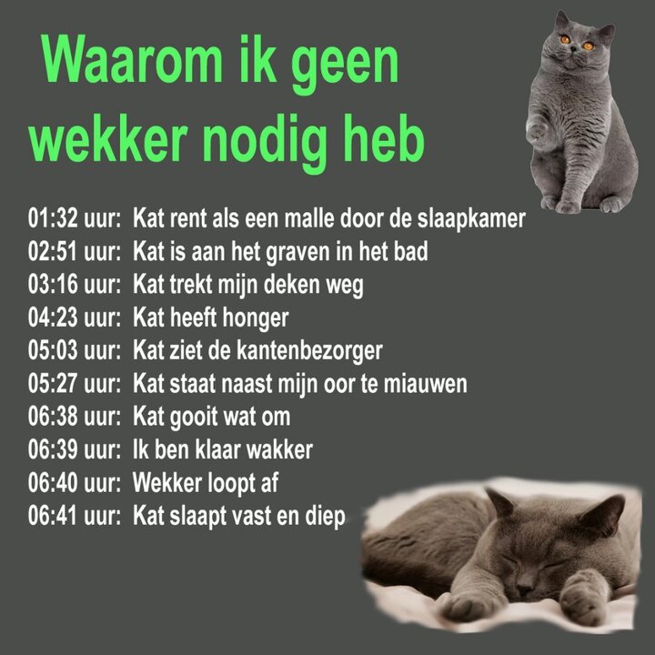 geenwekkernodig.thumb.jpg.f85158d877d184c2928d4a662cb4e8b1.jpg