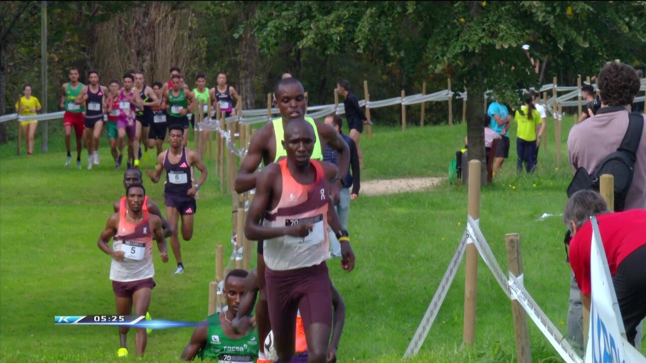 vlcsnap-2024-10-20-13h26m46s240.jpg