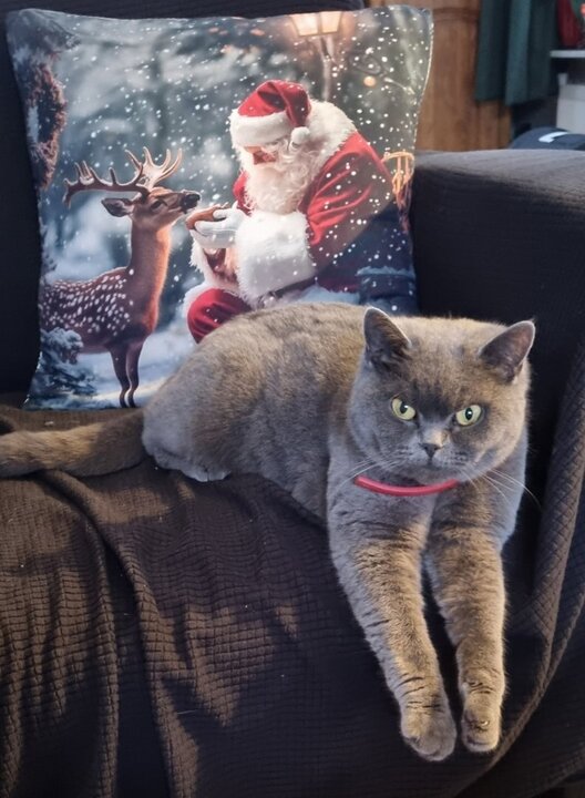 donnaaanhetuitbuikennadekerstdagen.thumb.jpg.61c9dd36a7e42d81433b9cc8b2cb4f5b.jpg