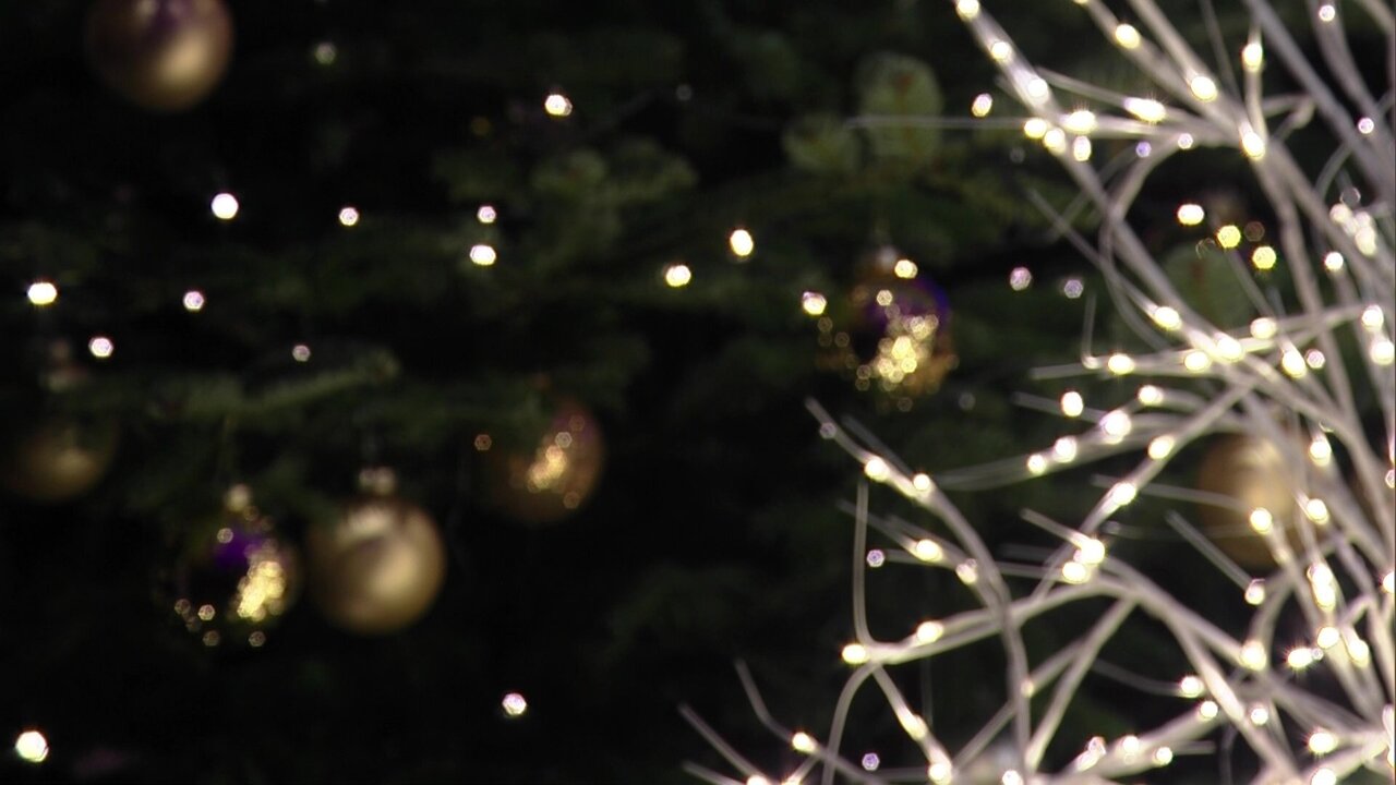 vlcsnap-2024-12-20-20h33m53s733.jpg