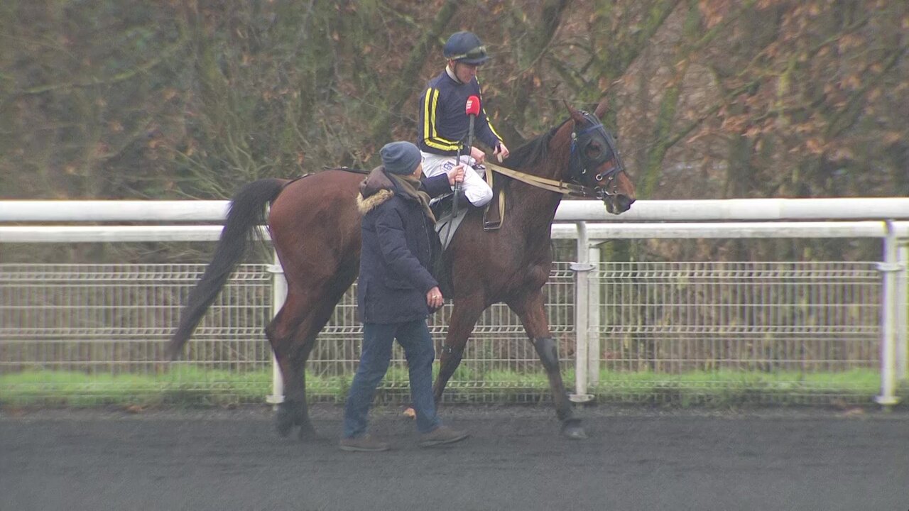 vlcsnap-2025-01-26-14h34m14s025.jpg