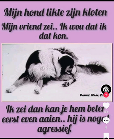 image.png.0ba604af4c7241a8fd3a31627bd52d84.png