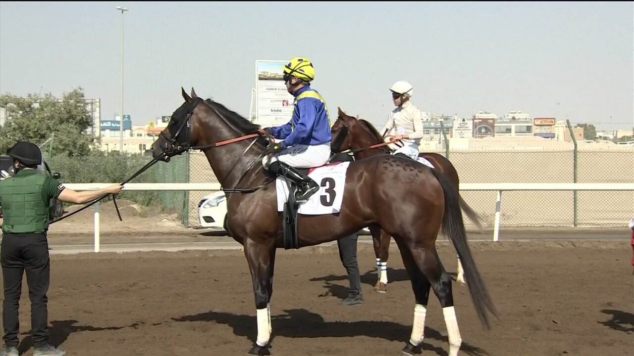 vlcsnap-2025-02-01-11h27m07s063.jpg