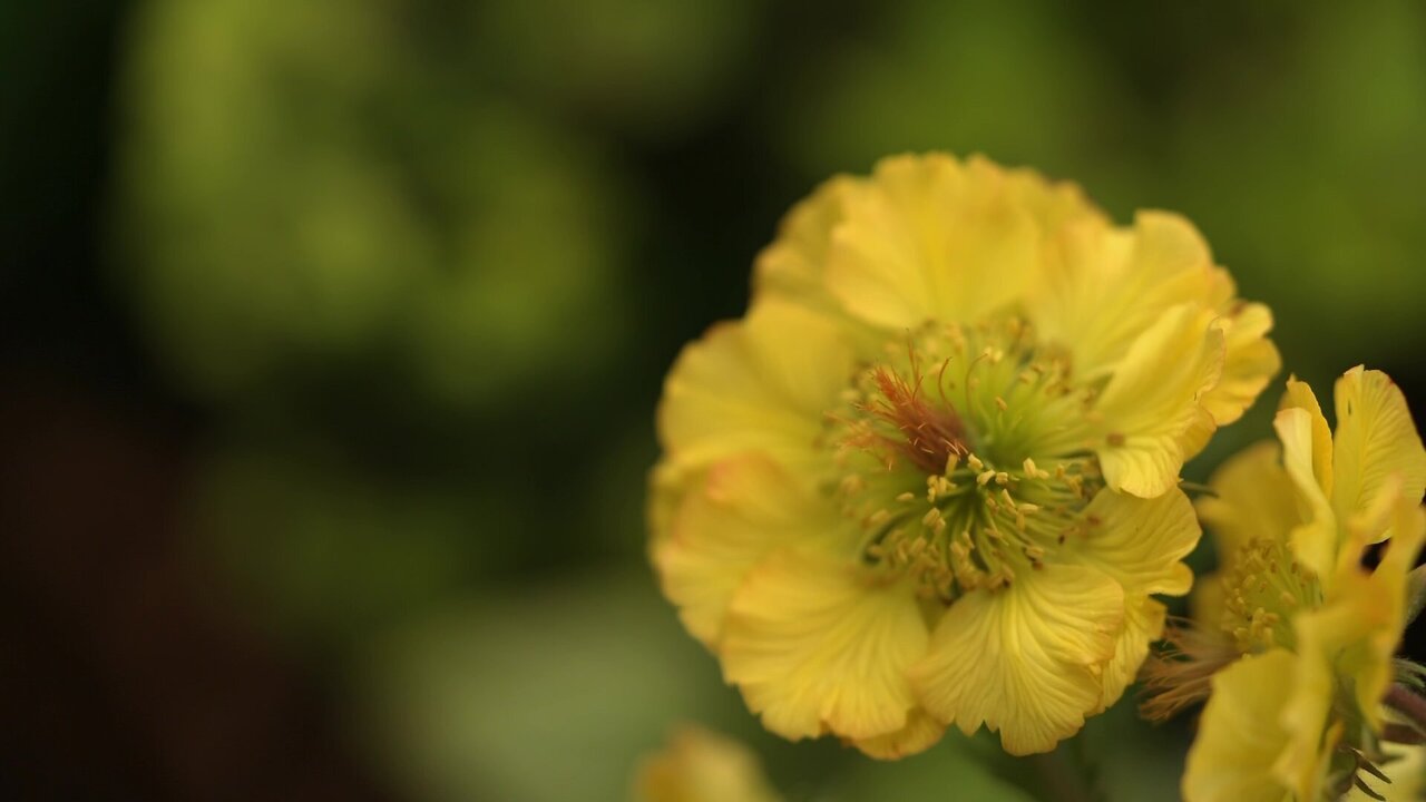 vlcsnap-2025-05-09-16h27m24s221.jpg