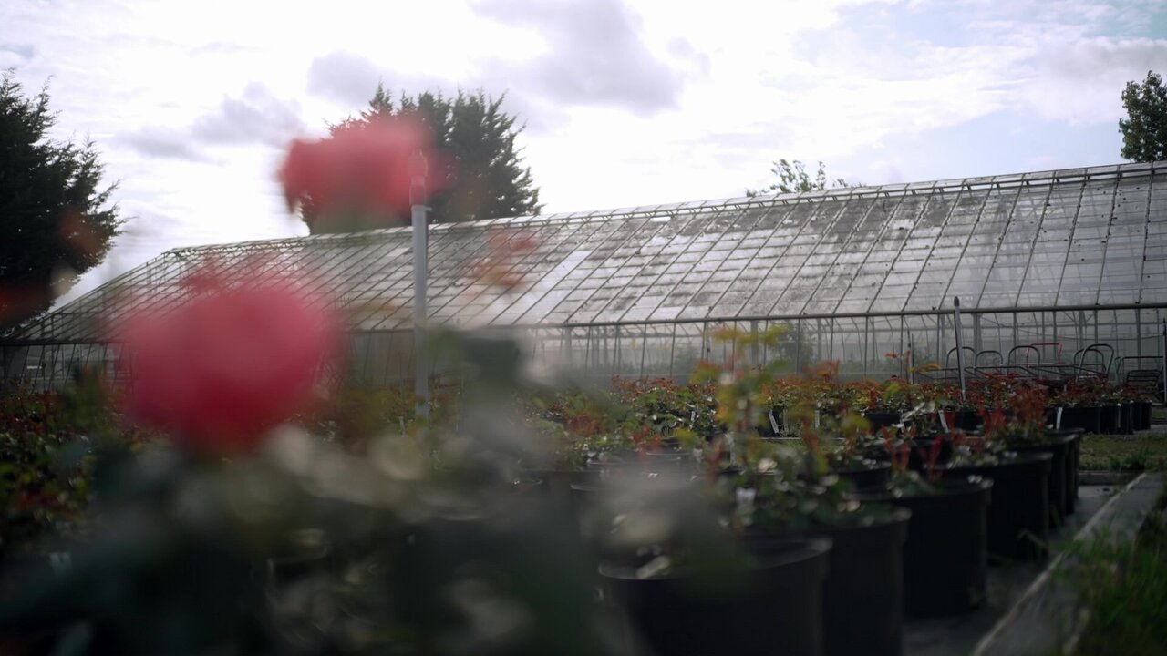 vlcsnap-2025-05-09-16h30m09s958.jpg