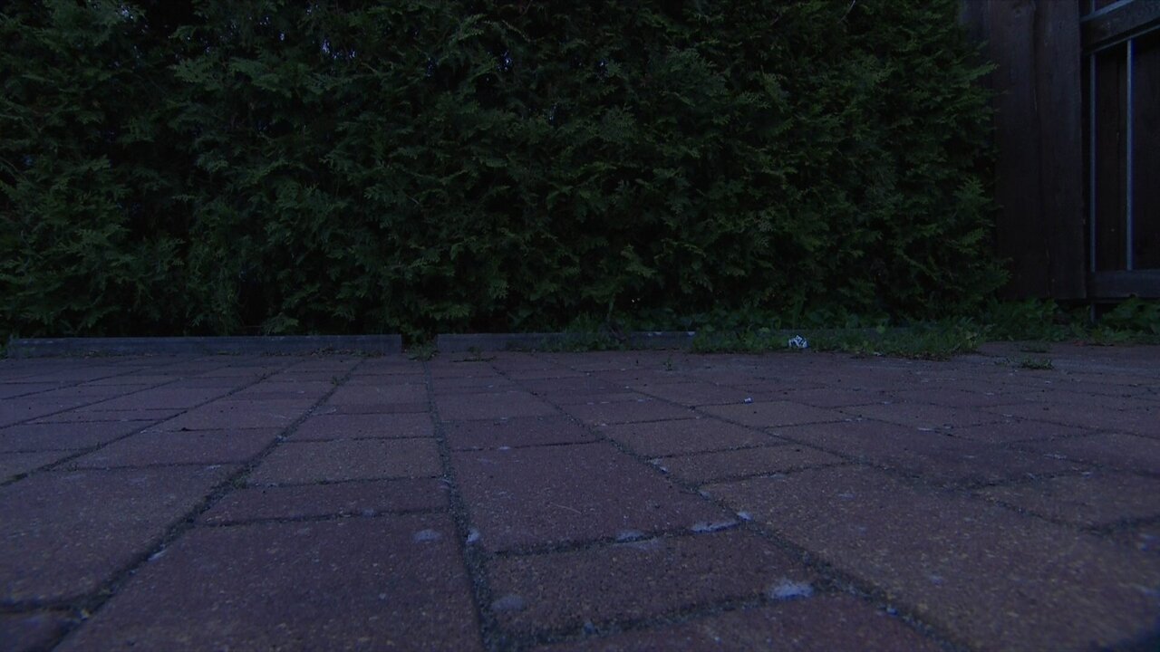 vlcsnap-2025-05-20-20h38m27s277.jpg