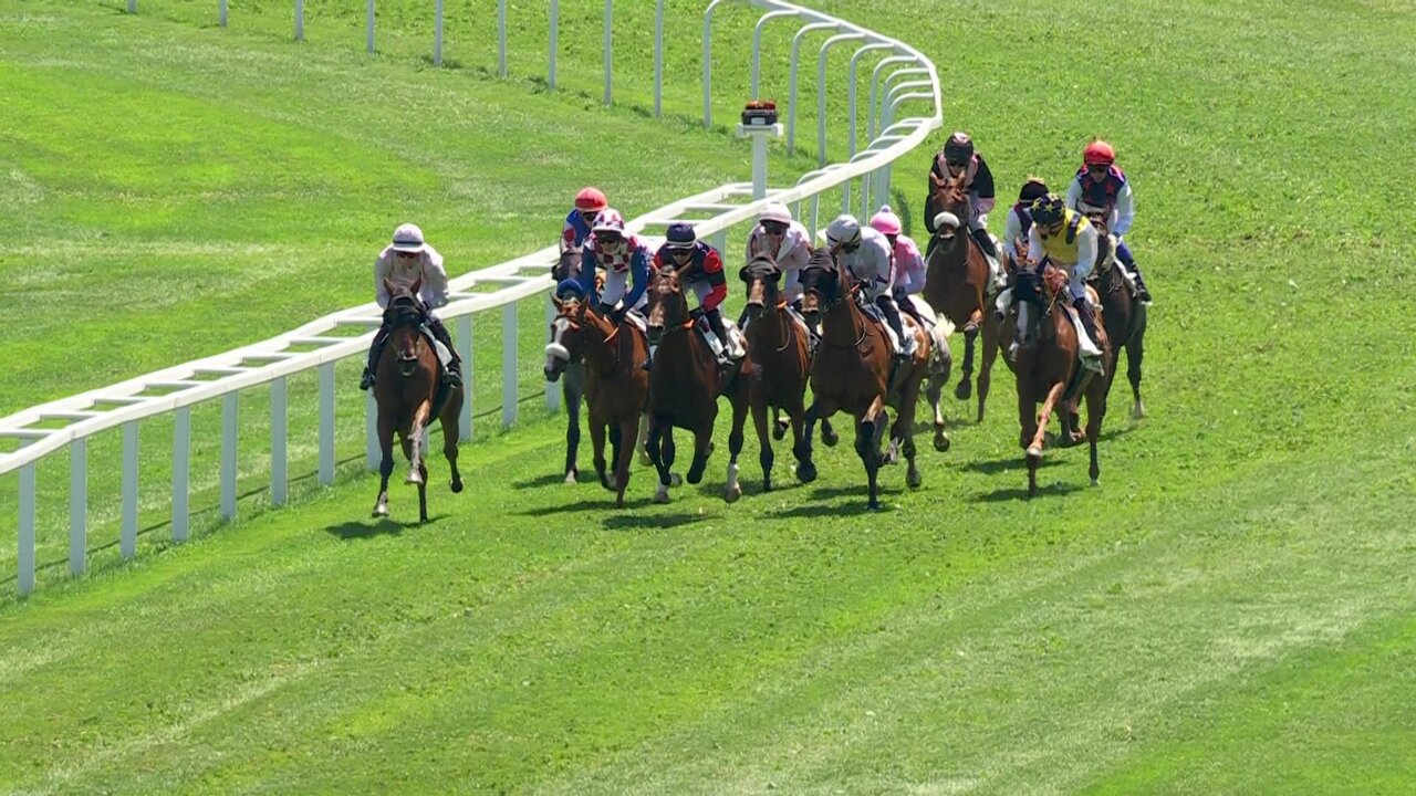 vlcsnap-2025-07-05-14h39m13s618.jpg