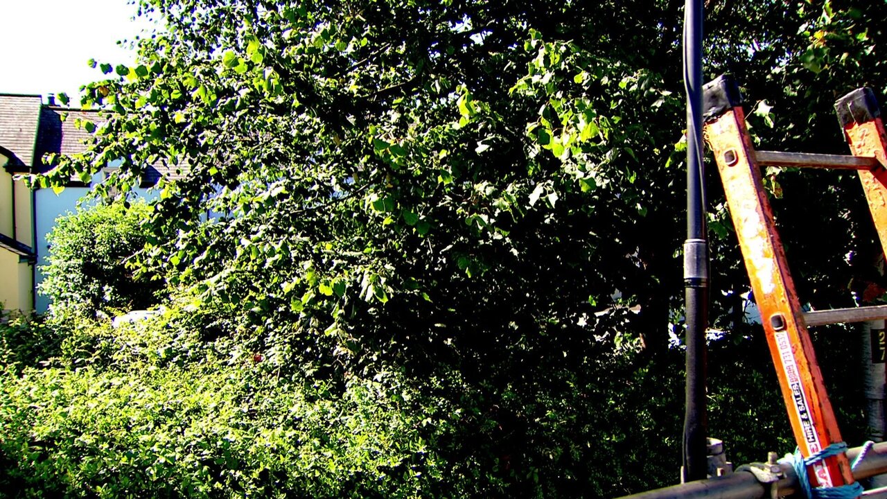 vlcsnap-2025-07-12-11h34m58s833.jpg