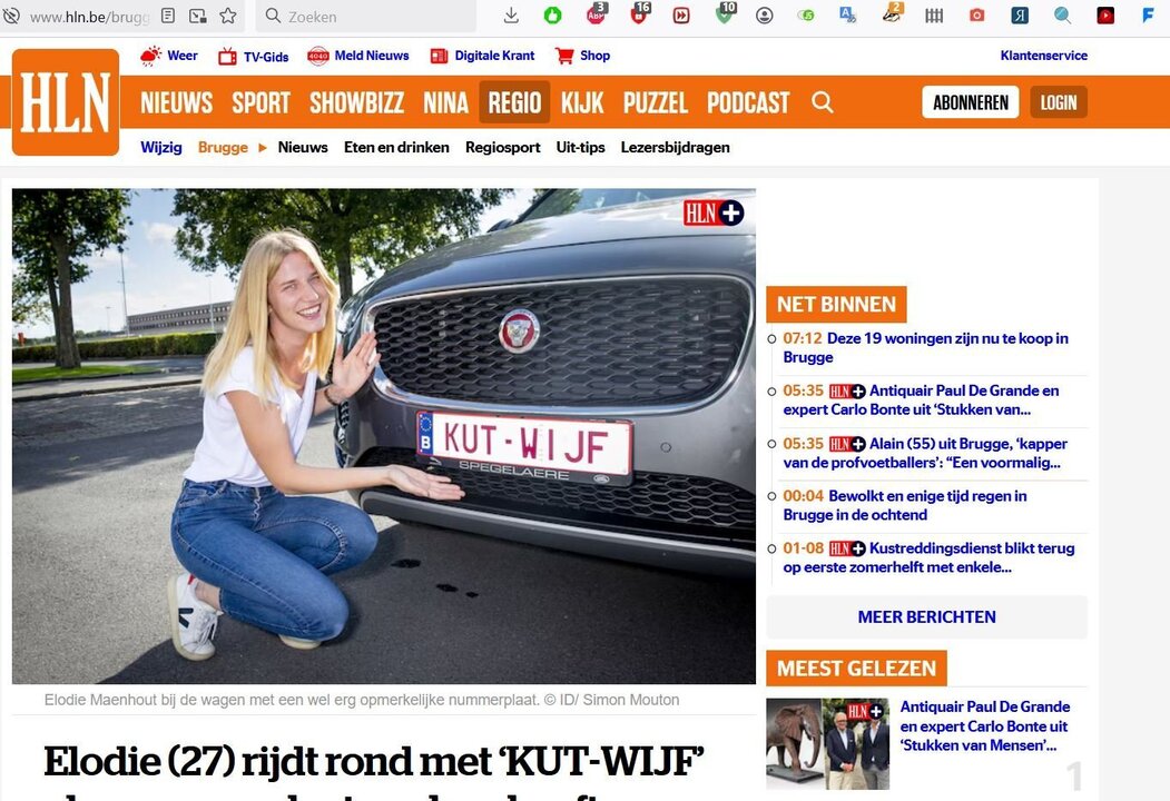 Knipsel.JPG