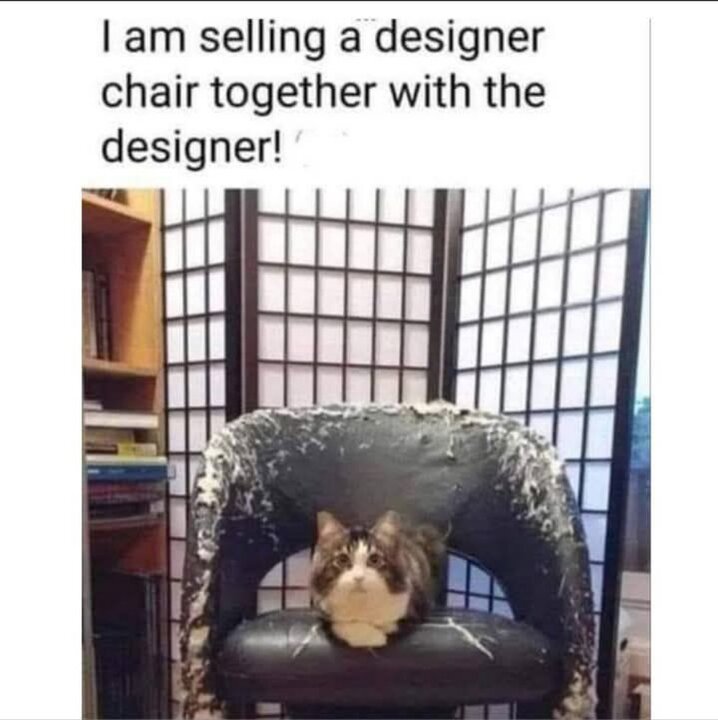 designerstoel.thumb.jpg.7dc4e906959894420fd79a6fd9a502a4.jpg