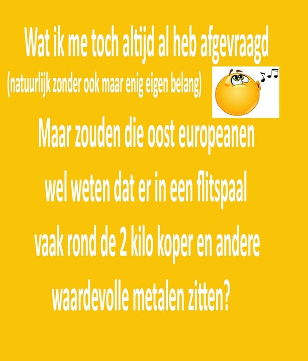 flitspaal.thumb.jpg.f6a285a544998b04c3dc6921e63300d6.jpg
