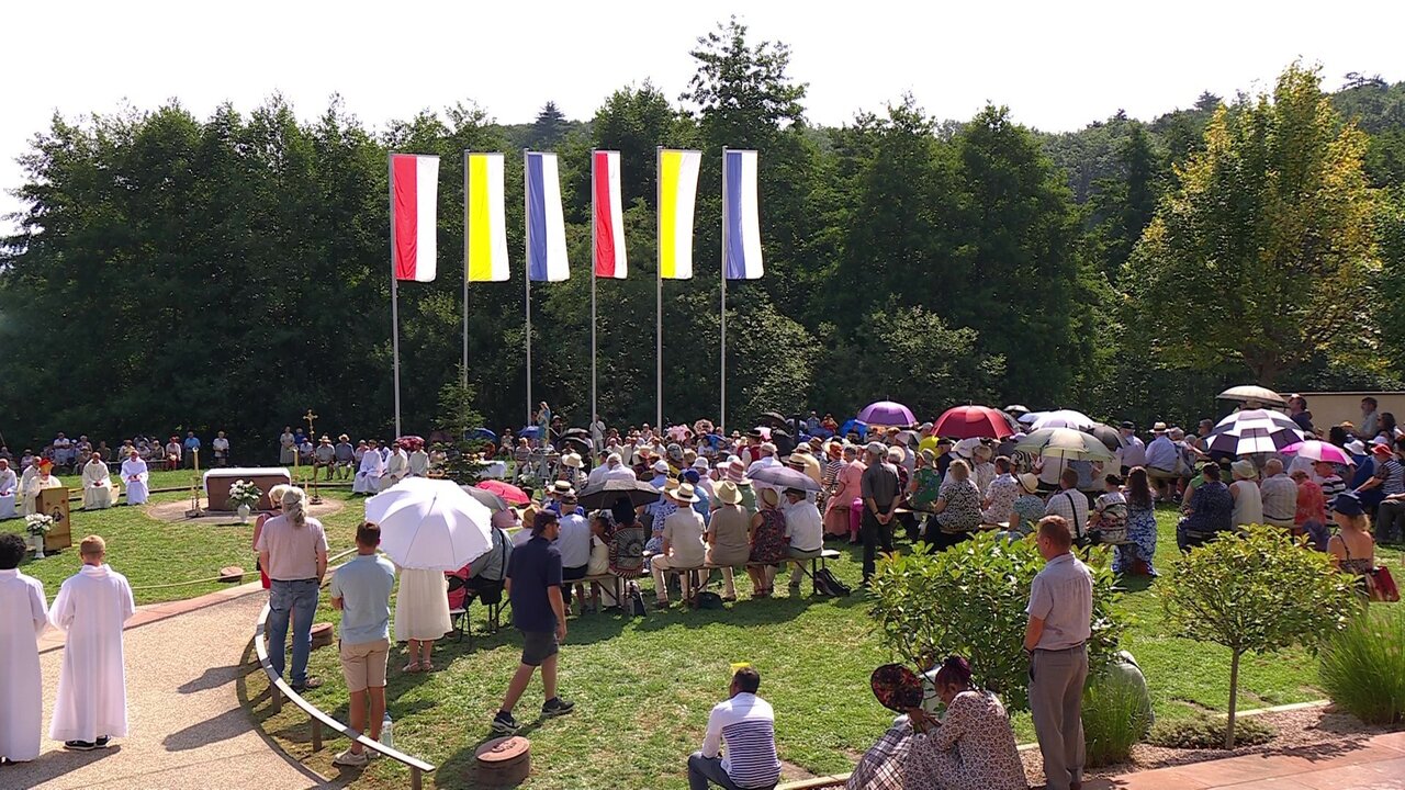 vlcsnap-2025-08-15-11h39m06s828.jpg