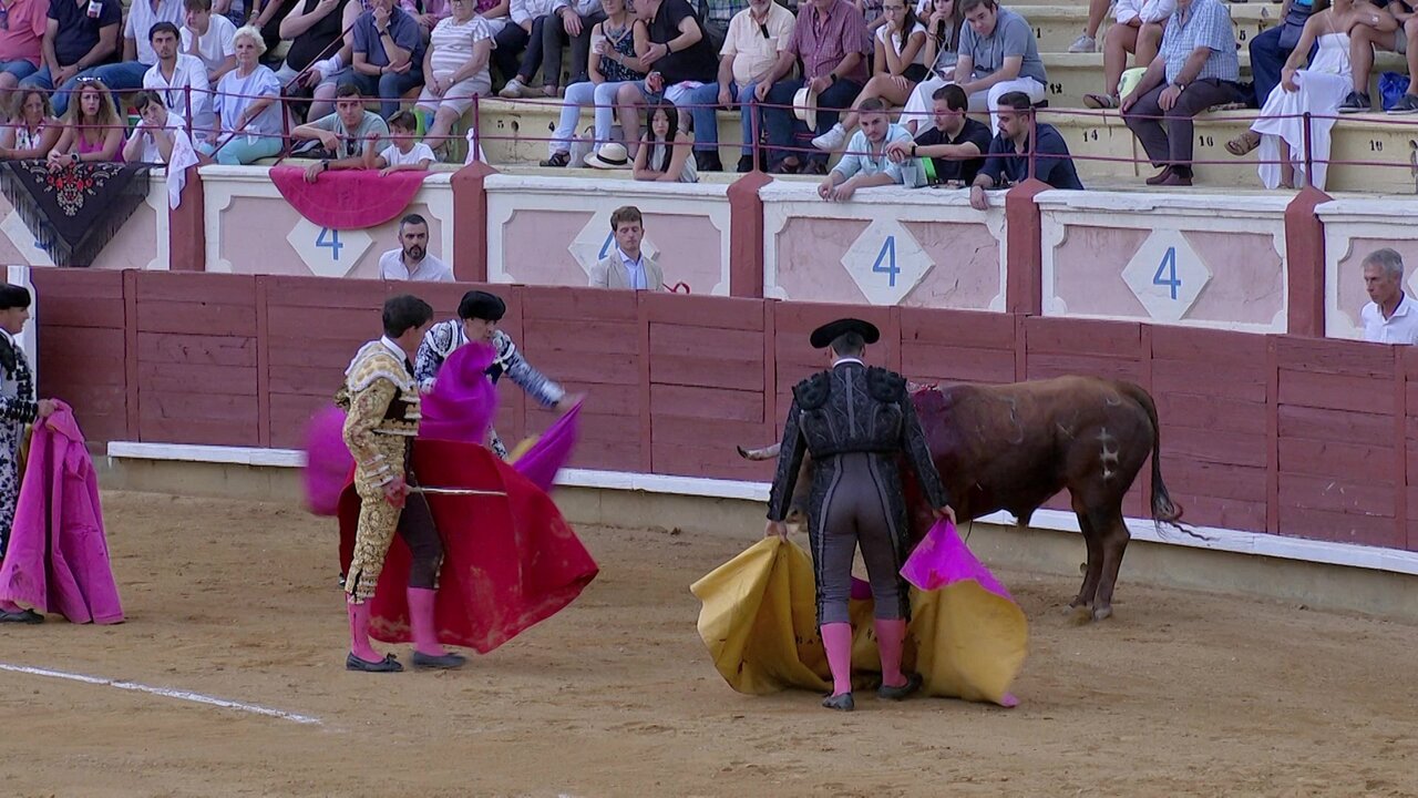 vlcsnap-2025-08-25-21h21m25s007.jpg