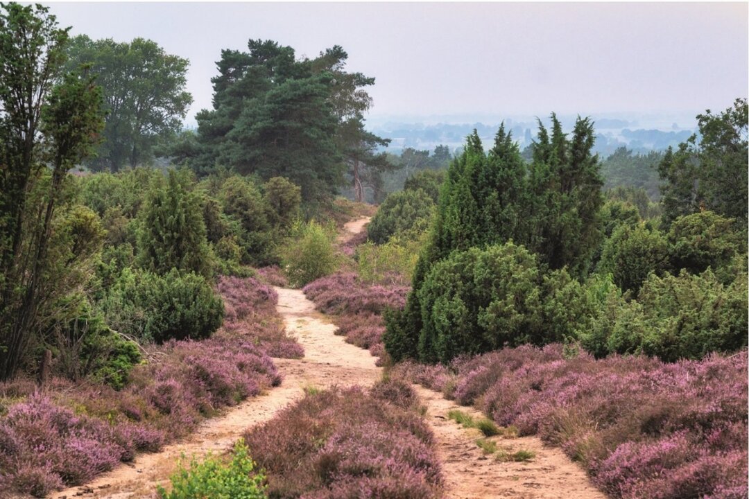holterberg.thumb.jpg.b033ac8c12fdbad6108ec9390e23f4c3.jpg