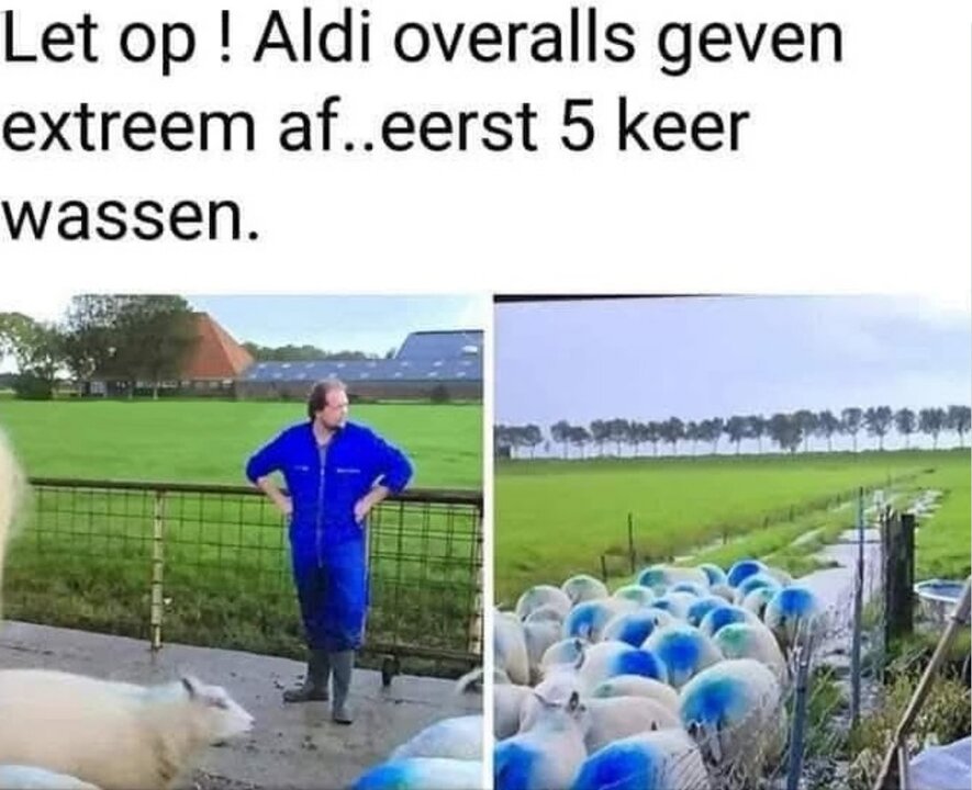 aldioverall.thumb.jpg.b3ff59ec6c2f8419daa4dde30a2a8a96.jpg