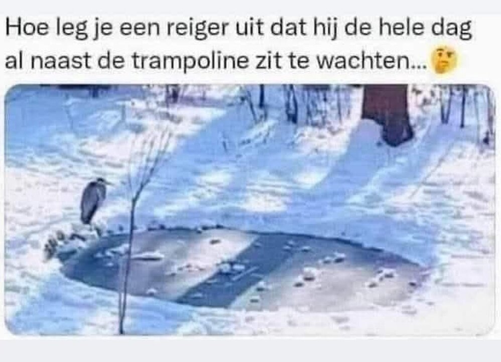 reiger.thumb.jpg.25f978517911c046cce4f232750bbcf0.jpg
