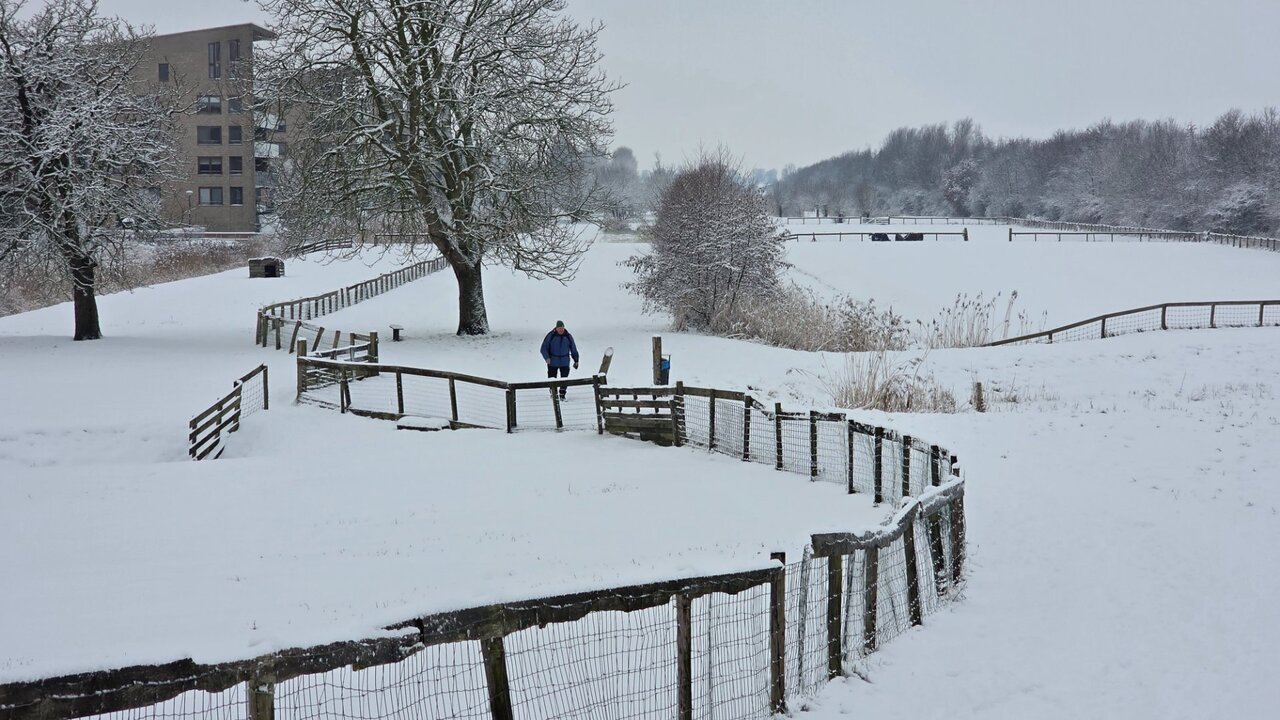 20260105_120011.jpg